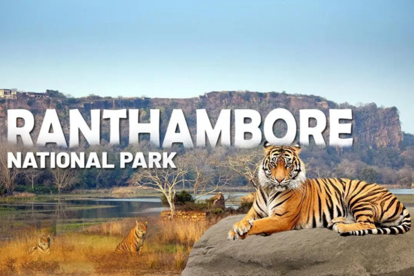 Ranthambore National Park